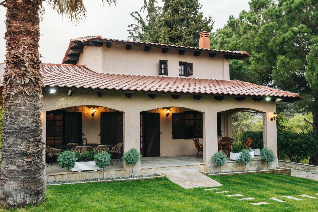 The Tree House Βίλα Άγιος Ανδρέας Εξωτερικό φωτογραφία
